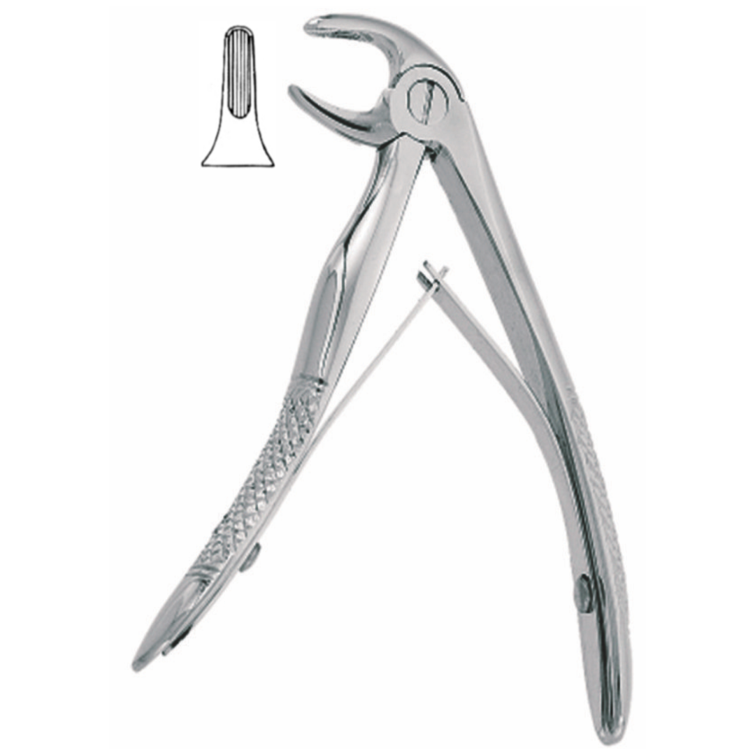 English Pattern Small Pedodontic Lower Molars,